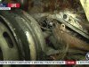 В Севастополе сожгли автомобиль оппозиционному общественному активисту