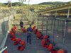 ОБСЕ призывает власти США закрыть тюрьму Гуантанамо на Кубе