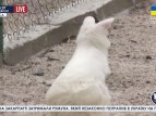 В Одесском зоопарке публике показали кенгуренка-альбиноса