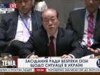 Выступление представителя Китая, на заседание Совета Безопасности ООН 17 февраля
