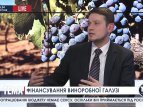 Сергей Михайлечко о винодельческой отрасли в Украине