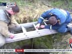 В Луганске человек упал в забытый колодец