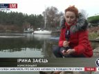В Киевское море запустили рыбу