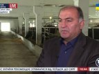 Внедрение евростандартов производства молока в Украине