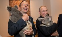 [фото] Мировые лидеры и коалы_9