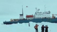 В Антарктиде застрял китайский ледокол, который ранее помог спасти судно "Академик Шокальский"