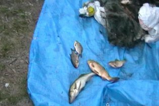 [фото] В Киевской области правоохранители начали проверку незаконного вылова рыбы