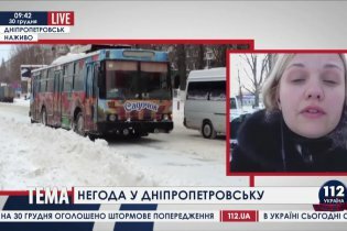 [фото] Алевтина Чуприна о снегопадах в Днепропетровске
