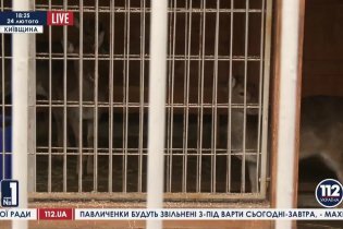 [фото] Киевский зоопарк взял шефство над животными из Межигорья