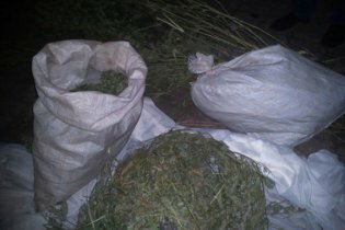 [фото] В Ровно у наркомана изъяли 4 кг марихуаны