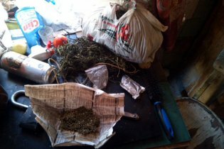 [фото] В Славянске у местного жителя изъяли 7 кг каннабиса