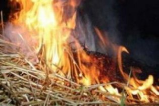 В Сумской обл. в результате пожара на ферме сгорело 140 т сена и 200 т соломы