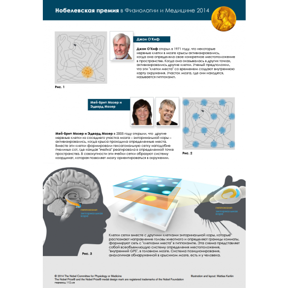 нобелевская премия по медицине 2014