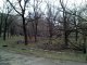В Киеве возле детской больницы на 8-летнюю девочку упало дерево