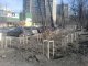 В Киеве коммунальщики высадили 2,3 тыс. деревьев и 7 тыс. кустов, - КГГА