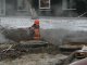В "Охматдете" возобновили подачу тепла, - ГосЧС