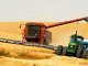 Фактический экспорт зерновых составляет 28,7 млн т, - Швайка