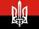 В МВД предупредили "Правый сектор", что все вооруженные формирования будут считаться незаконными