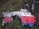 Эксперты не установили личности двух жертв крушения Boeing на Донбассе