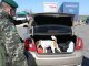 В Донецкой обл. пограничники задержали украинца, перевозившего оружие и 180 боеприпасов