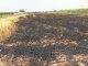 В районе боевых действий на востоке Украины сгорело 180 га зерновых полей