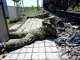 В Донецкой обл. за сутки в результате боевых действий погибло 14 человек, - ДонОГА