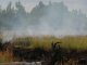 За минувшие сутки в Украине произошло 176 пожаров