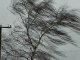В Украине на 1 декабря объявлено штормовое предупреждение из-за сильного ветра