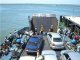 На Керченской переправе снова образовалась очередь из 400 автомобилей, направляющихся в Крым